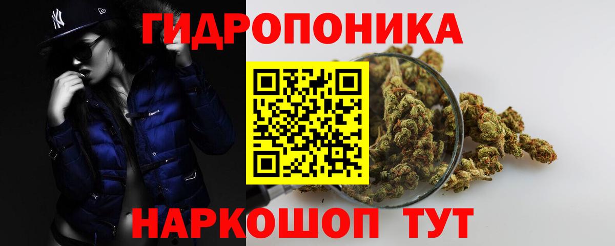 МАРИХУАНА планчик  Шишки марихуана индика  Чайковский  Марихуана SATIVA & INDICA  Конопля OG Kush  Вход с VPN 